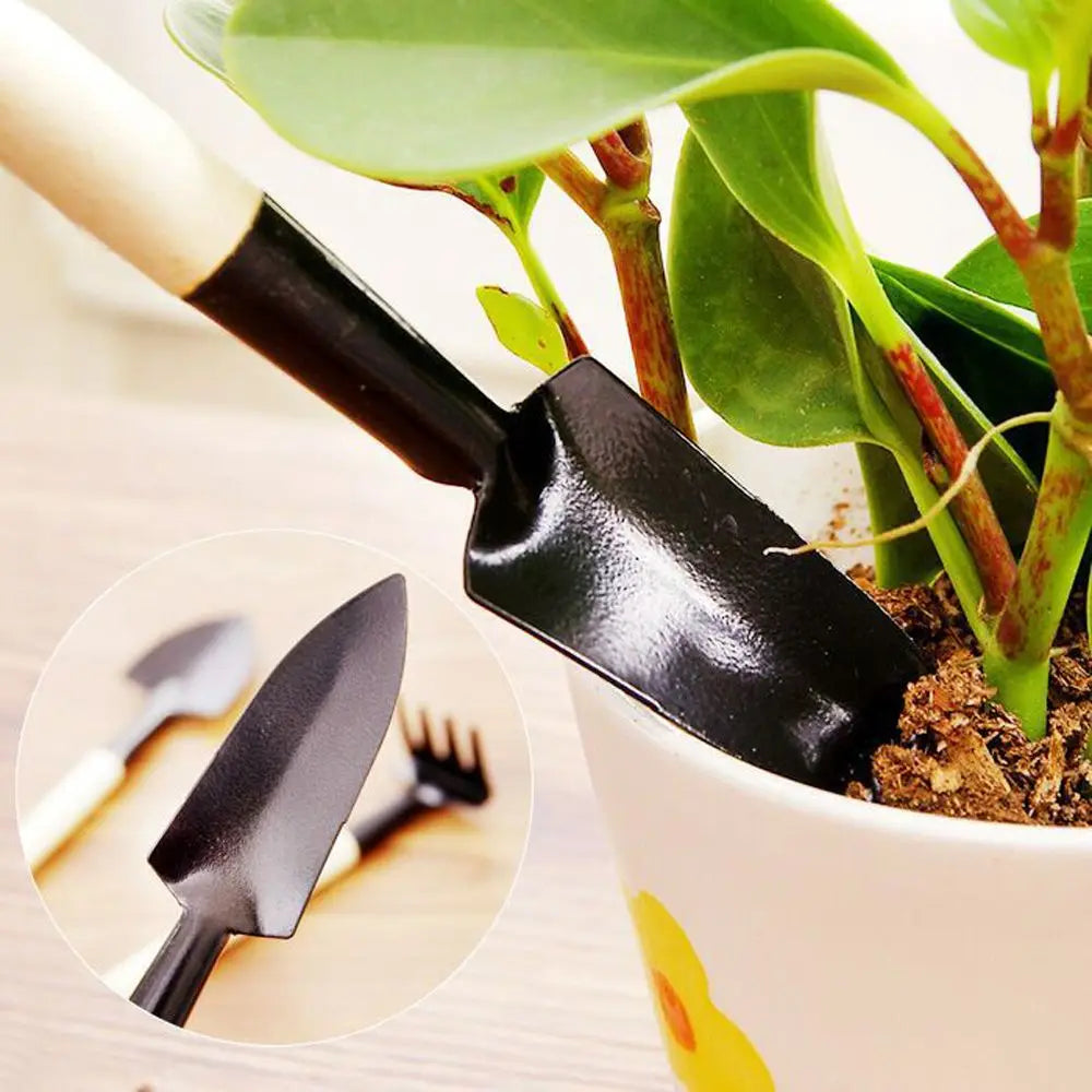 3Pcs Portable Mini Plant Tools Rake Planter Shovel Soil Scoop Plant Pots Decorative Planting Pots Garden Supplies Plant Tool