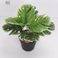 Simulation Monstera Plant Potted Floor Decor Turtle Leaf Artificial Bonsai Fake Tree Nordic Green Plant Home Garden Decoration