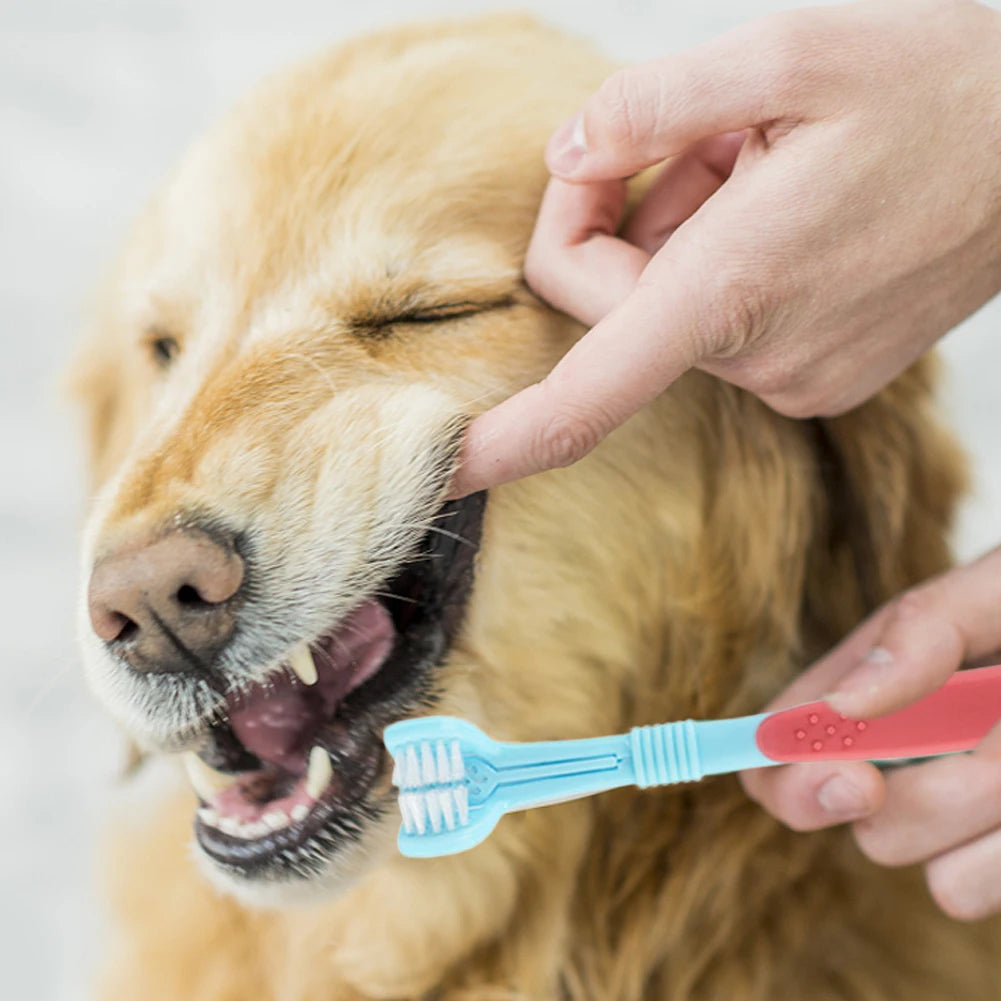 Three Sided Pet Toothbrush Three-Head Multi-angle Toothbrush Cleaning Dog Cat Brush Bad Breath Teeth Care Tool