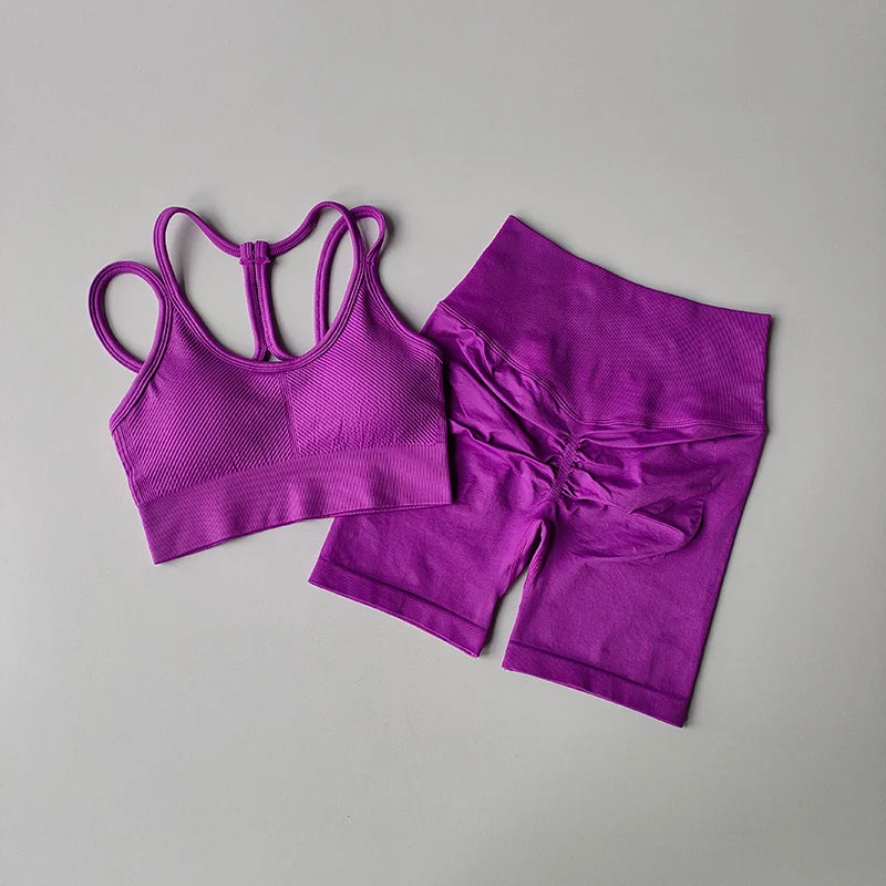 2PCS Seamless Women Yoga Set | Sport Bra & High Waist Shorts for Gym | Bulbusbow