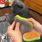 Cat Steam Brush Electric Spray Water Spray Kitten Pet Comb Soft Silicone Depilation Cats Bath Hair Brush Grooming Supplies