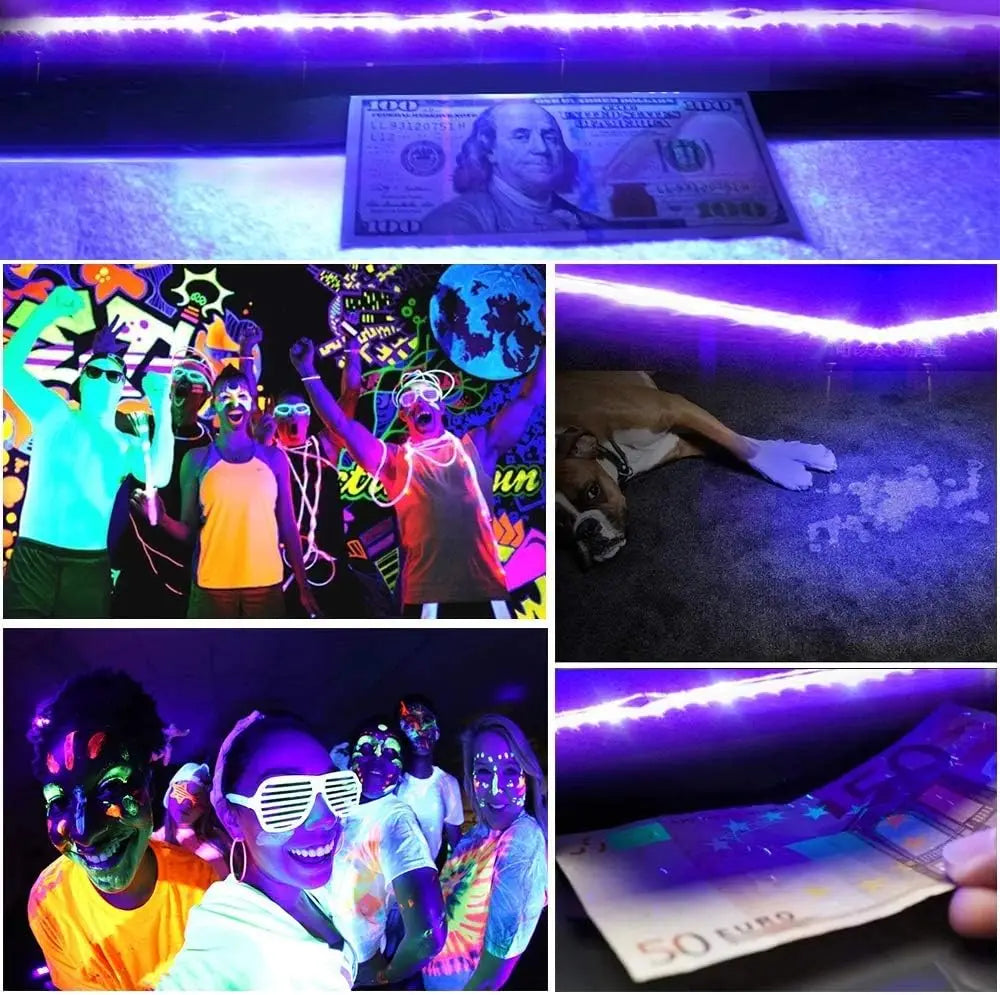 UV LED Strip Light 2835 SMD Purple Flexible Ribbon 395-405nm Ultraviolet Black Light Strip for Halloween Fluorescence Dark Party