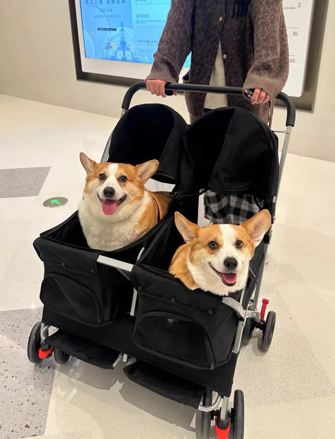 Two-seater pet cart,two-bedroom bed cart,ultra-light foldingdetachable and washable cat and dogwidened nursingout-going pet cart