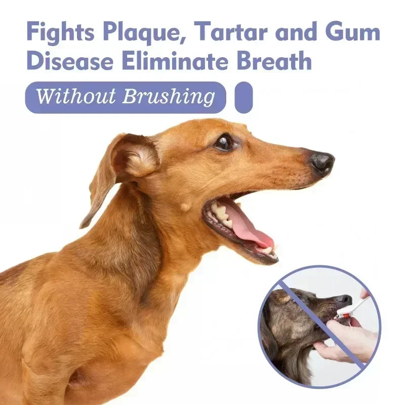 Pet Teeth Cleaning Spray Oral Care Remove Tooth Stains Keep Fresh Breath for Cats and Dogs Whitening  Remove bad breath