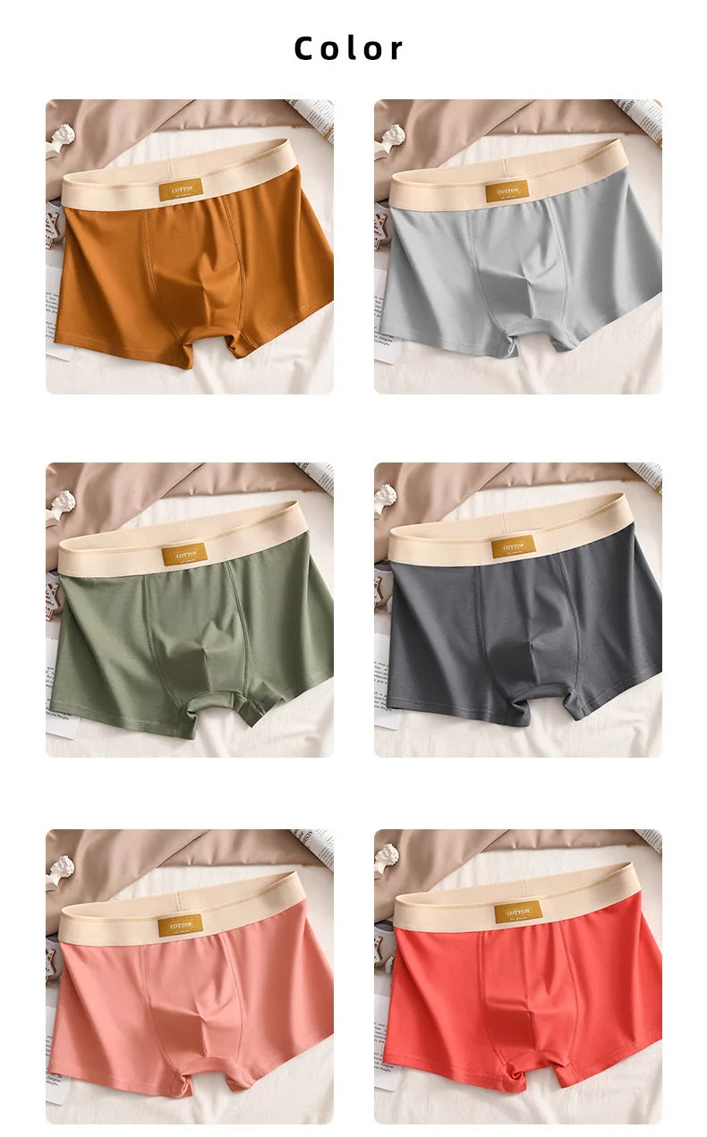 Men's Cotton Boxer Shorts 3-Pack - Sports Comfort Buy Bulbusbow | Sizes L-6XL