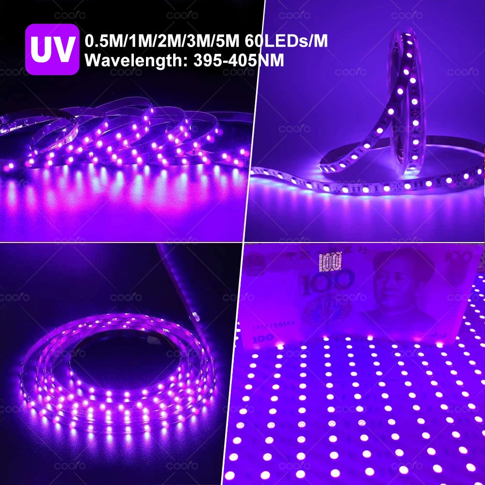 UV LED 灯带 2835 SMD 紫色柔性带 395-405nm 紫外黑光灯带适用于万圣节荧光暗夜派对