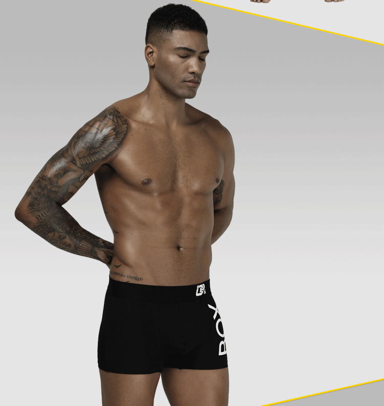 4Pcs Man Underpants Boxershorts Cotton Men Boxers Male Breathable Underwear Men's Panties Soft Boxer Orlvs-Two OR212