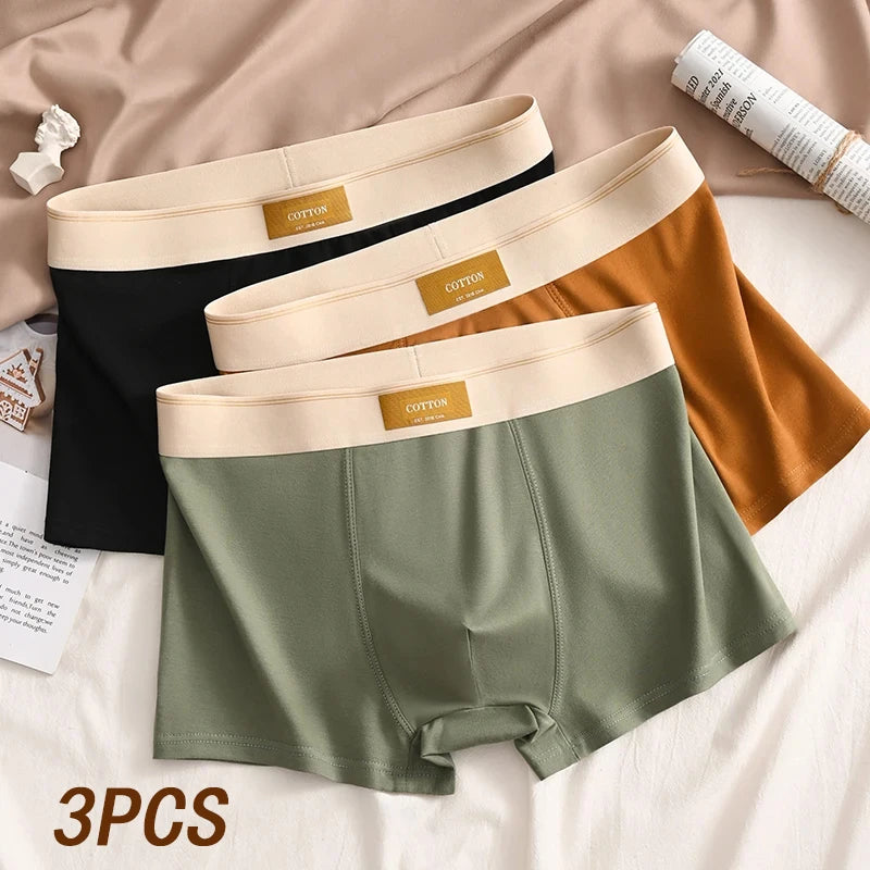 "Three-pack Bulbusbow men's breathable cotton boxer shorts in solid colors, comfortable fit for sports and daily wear, available in large sizes up to 6XL