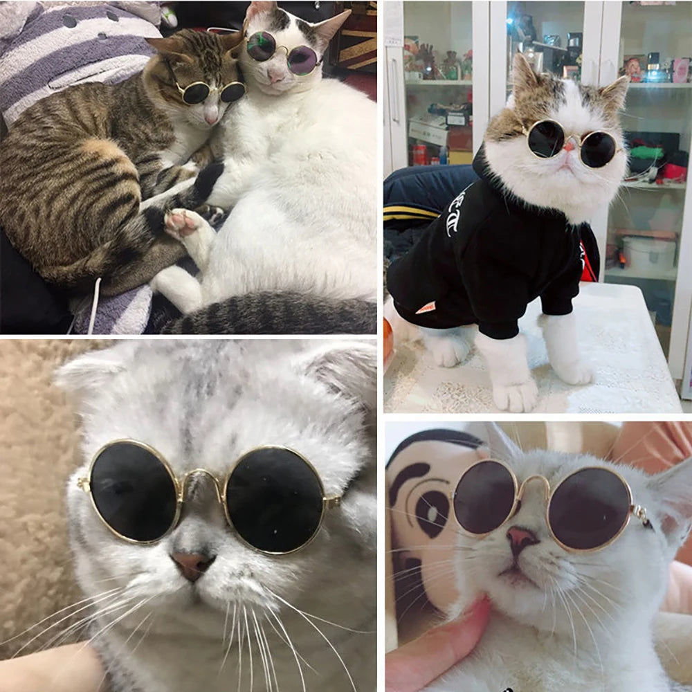 Pet Cat Dog Glasses Pet Products for Little Dog Cat Eye Wear Dog Sunglasses Kitten Accessories Pet Supplies Cat Toy