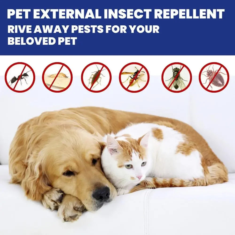 100ml Pet Dog Cat Anti Flea Drops Insectcide Flea Lice Insect Safe for Home and Cats Dogs Prevent Ticks