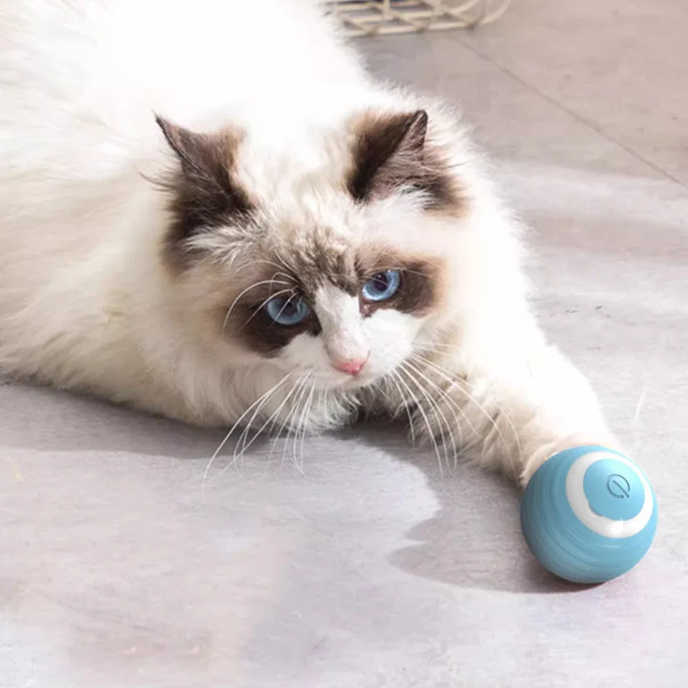 Automatic Moving Bouncing Rolling Ball with LED Lights Smart Cat Toy Ball Self-Moving Kitten Toy for Indoor Cat Kitten