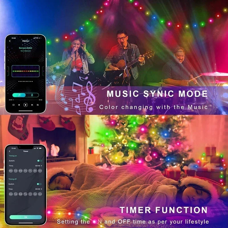 LED Lighting Strings Fairy Waterproof Bubble Ball Lamp Bluetooth APP Remote Control USB Music Controller Dream Color Christmas