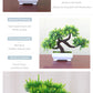 Bonsai Small Tree Pot Artificial Plants Fake Plant Flowers Potted Ornaments for Home Room Table Decoration Hotel Garden Decor