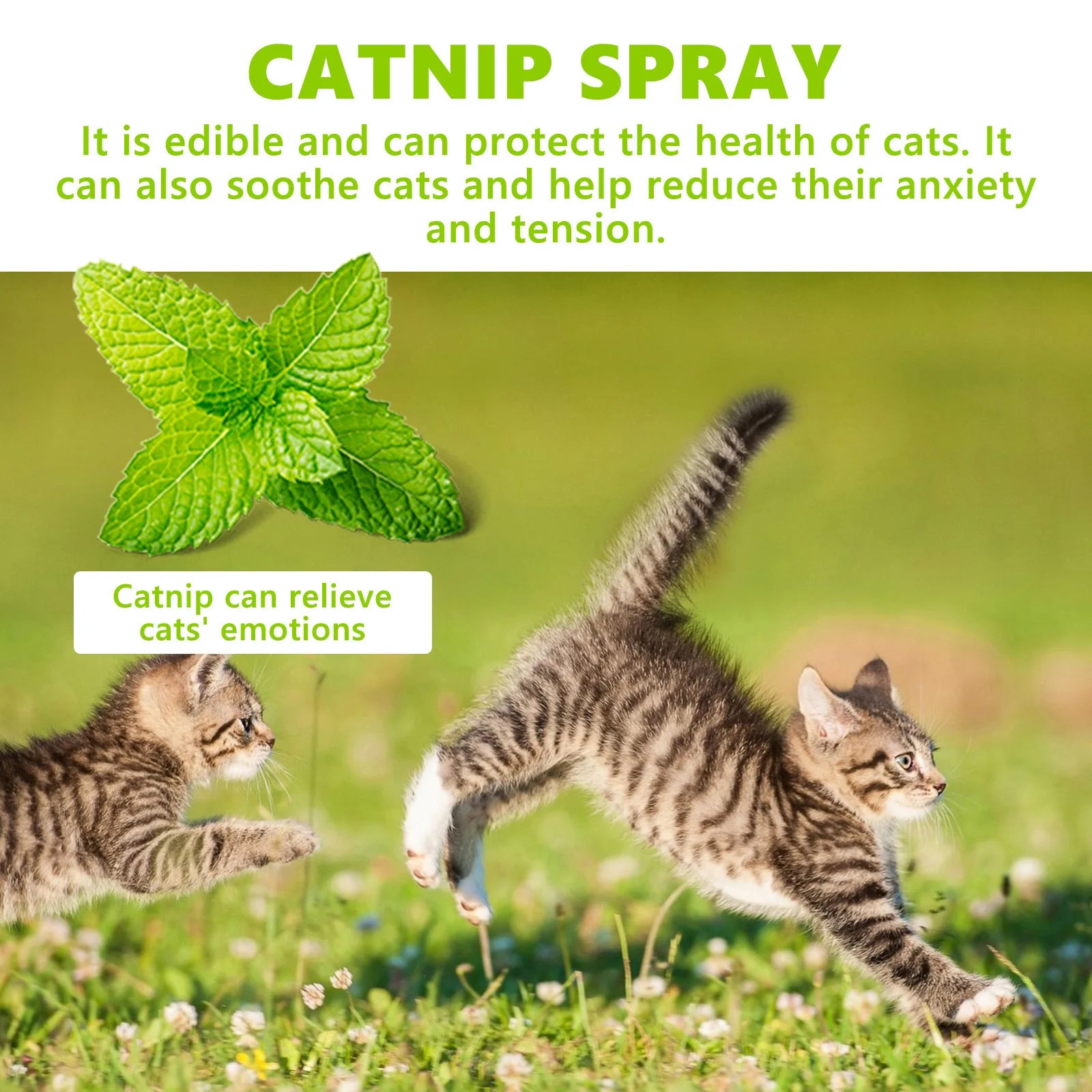 Cats Catnip Spray Relieve Stress Dogs Enhance Vitality Pet Attractant Long-Lasting Anti Anxiety Health Care Pet Calming Spray