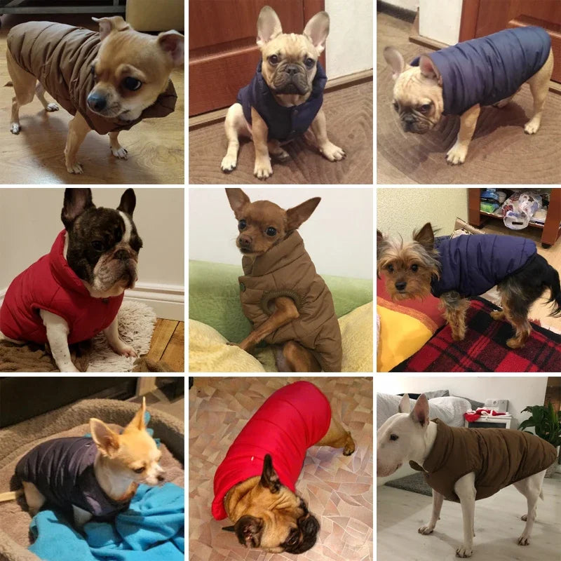 Pet Dog Vest Jacket Autumn Winter Warm Fleece Dog Coat Clothes For Small Medium Large Dogs Chihuahua French Bulldog Pug Clothing