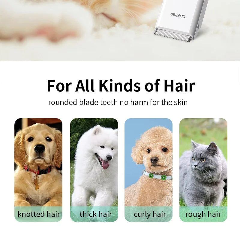 Cordless Dog Clipper Rechargeable Pet Hair Trimmer Low Noise Professional Cat Puppy Grooming Haircut Machine Electric Cutters