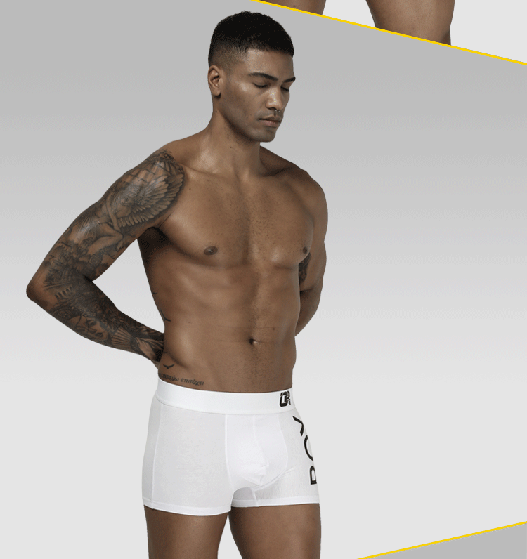 4Pcs Man Underpants Boxershorts Cotton Men Boxers Male Breathable Underwear Men's Panties Soft Boxer Orlvs-Two OR212