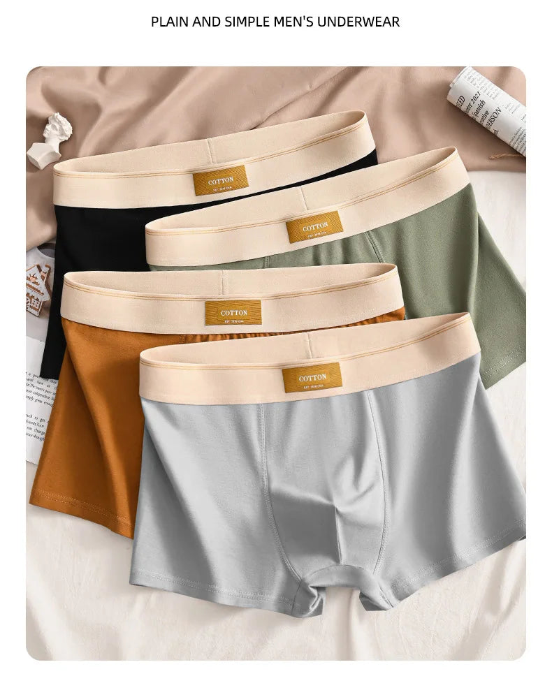 Men's Cotton Boxer Shorts 3-Pack - Sports Comfort Buy Bulbusbow | Sizes L-6XL