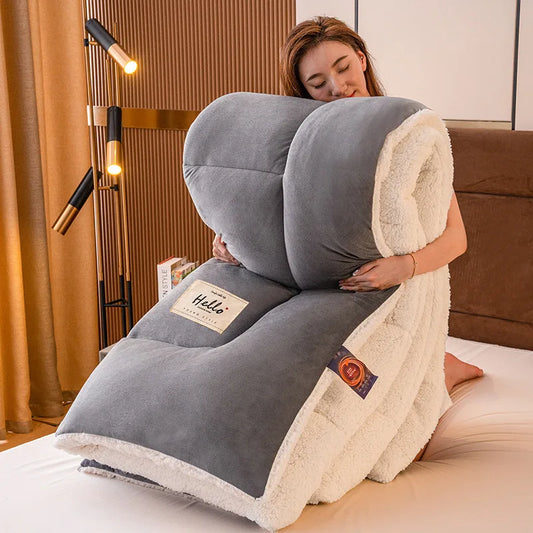 Students fall and winter space futon Shipping vacuum thickened warm futon lamb's wool futon