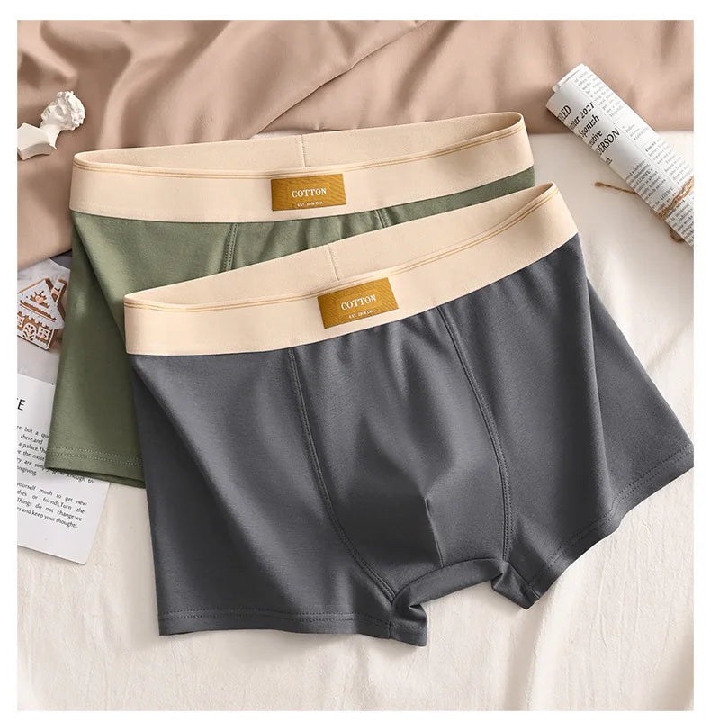 Men's Cotton Boxer Shorts 3-Pack - Sports Comfort Buy Bulbusbow | Sizes L-6XL