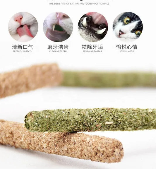 6pcs Natural Matatabi Cat Stick Mint Caught Bite Excited Rods Silvervine For Cat Teeth Cleaning Treating Pet Supply Cat Toys