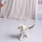 Cat Toy Funny Cat Toys Interactive Self Hi Feather Toys for Cats Tease Bite Resistant Cats Toy with Sucker Stick Pet Supplies