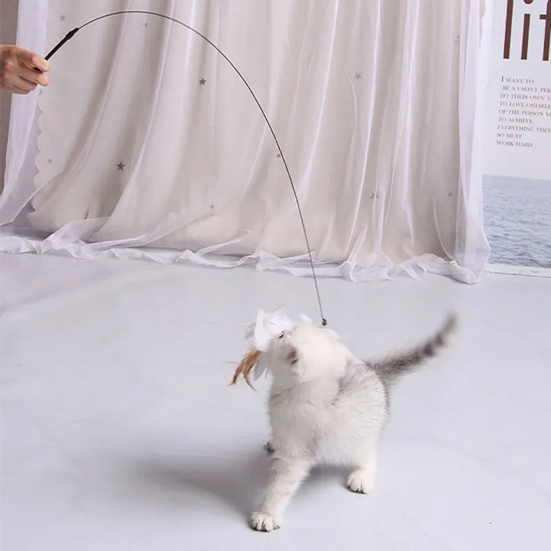 Cat Toy Funny Cat Toys Interactive Self Hi Feather Toys for Cats Tease Bite Resistant Cats Toy with Sucker Stick Pet Supplies