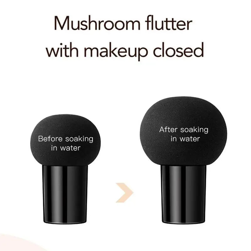 BB CC Cream  Face Foundation Concealer Cushion Mushroom Base Waterproof Brighten Makeup Brightening Tone Cosmetics Make up