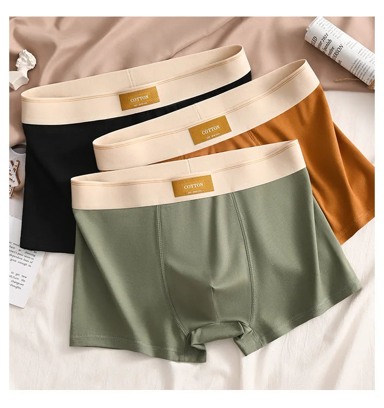 Men's Cotton Boxer Shorts 3-Pack - Sports Comfort Buy Bulbusbow | Sizes L-6XL