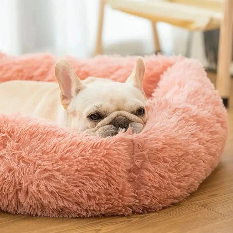 Rectangle Plush Dog Bed Winter Warm Mat Small Medium Big Pet Cat Dog Bed Kennel Puppy Sofacama Cat Cushion Pets Sofa Accessories