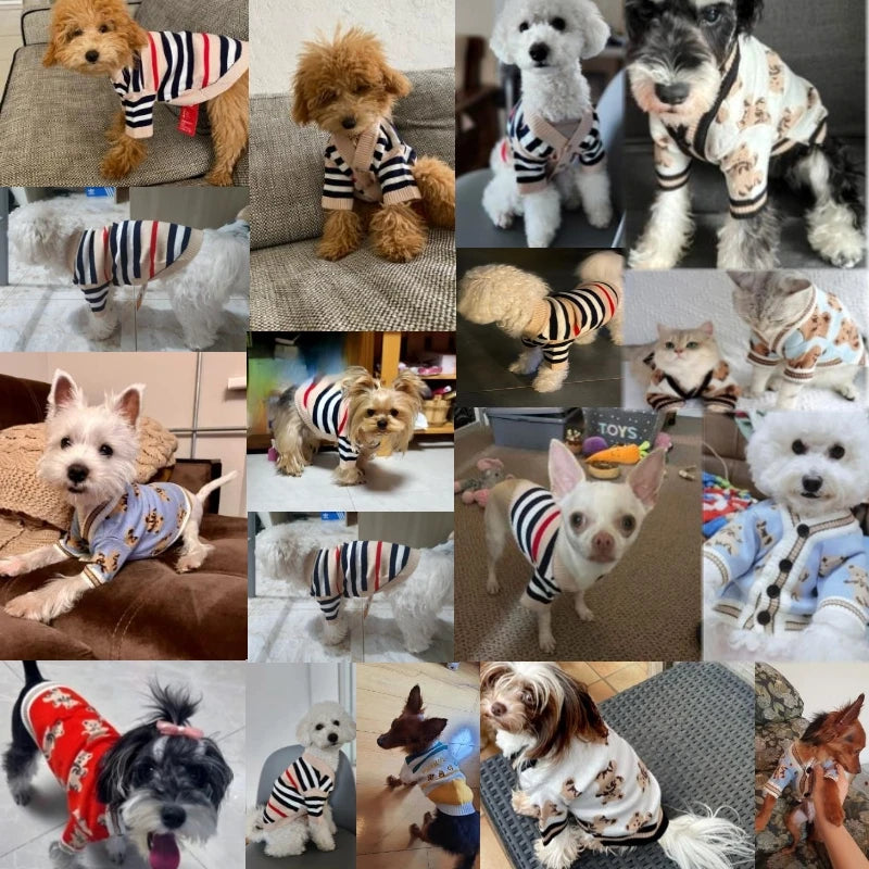 Luxury Dog Clothes Chihuahua Pet Striped Cardigan Sweater Bichon Frise Puppy Kitten Dog Warm Coat Cat Dog Accessories Pet Outfit