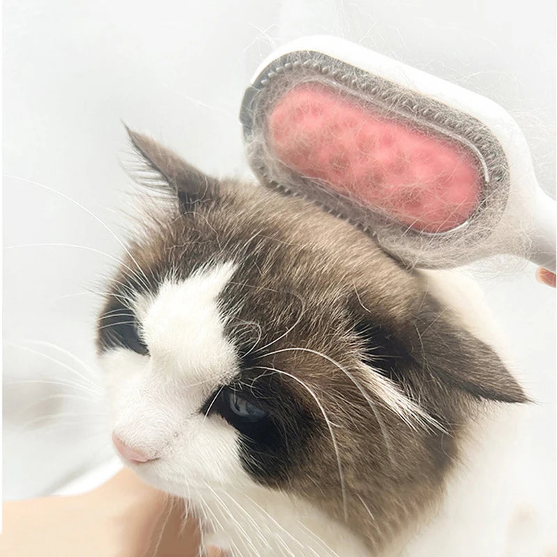 Double Sided Hair Removal Brushes for Cat Dog Pet Grooming Comb with Wipes Kitten Brush gato accesorios artículos para mascotas