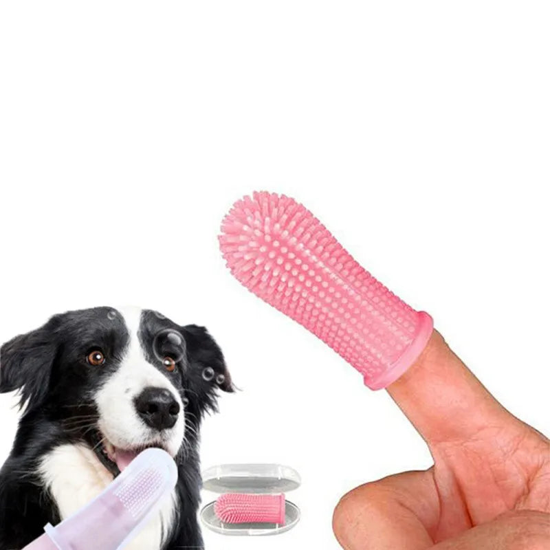 2pcs Pet Dog Tooth Cleaner Tartar Removers Scraper Kit Stainless Steel Pet Oral Cleaning Tool Pet Dog Breath Fresher Accessories