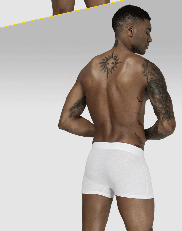 4Pcs Man Underpants Boxershorts Cotton Men Boxers Male Breathable Underwear Men's Panties Soft Boxer Orlvs-Two OR212