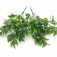 Branches Green Artificial Plants for Garden Bushes Fake Grass Eucalyptus Orange Leaves Faux Plant for Home Shop Decoration