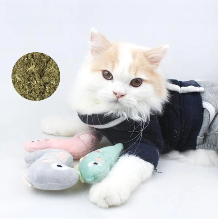 Pet Molar Bite toy Cartoon Stuffed Animal Cute Plush Cat Chew Toy Interactive Pets Toys For Cat