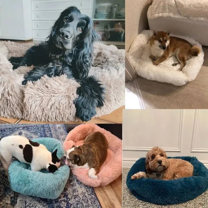 Rectangle Plush Dog Bed Winter Warm Mat Small Medium Big Pet Cat Dog Bed Kennel Puppy Sofacama Cat Cushion Pets Sofa Accessories