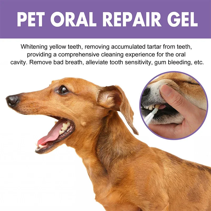 Pet Teeth Cleaning Tooth Whitening Pen Suitable For Dogs And Cats Remove Bad Breath Pet Oral Care