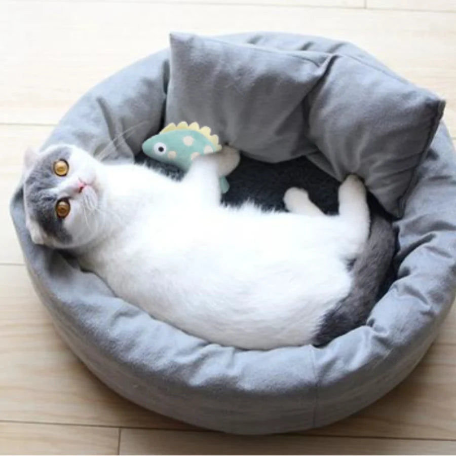 Pet Molar Bite toy Cartoon Stuffed Animal Cute Plush Cat Chew Toy Interactive Pets Toys For Cat