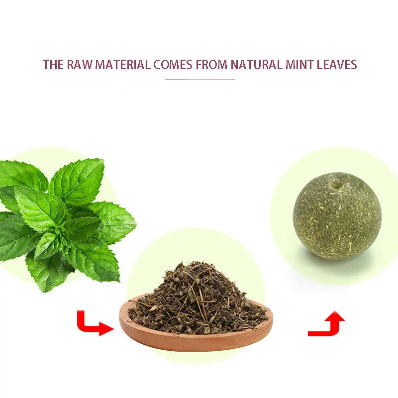 Cats Catnip Cat Toy Natural Ball Removal  Cat Grass Treats to Improve Digestion Wall Sticker Scratch Itchy Treat Healthy Supplie