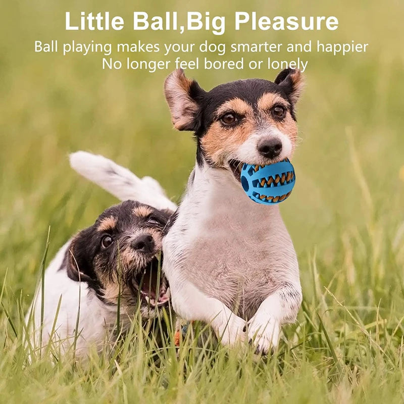 Dog Ball Toys for Small Dogs Interactive Elasticity Puppy Chew Toy Tooth Cleaning Rubber Food Ball Toy Pet Stuff Accessories