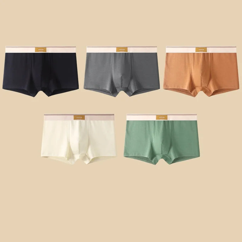 Bulbusbow Men's Cotton Boxers | 5-Pack Breathable Underwear | L-4XL Sizes