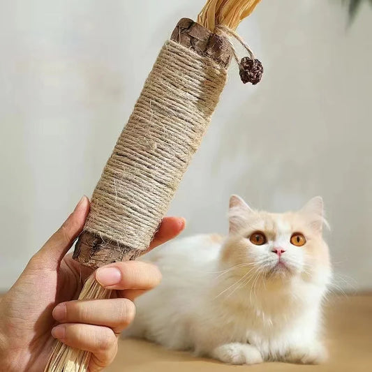 Catnip Cat Toys Natural Matatabi Pet Cat Snacks Stick Cleans Tooth Removers Hair to Promote Digestion Silvervine Kitten Chew Toy