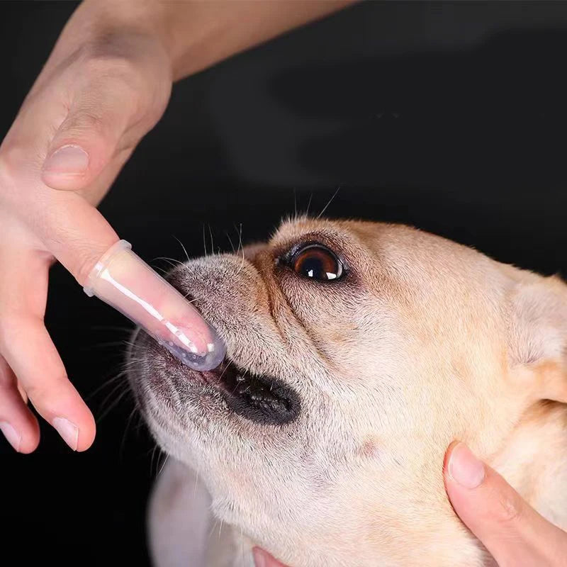 Silicone Soft Pet Finger Cuff Toothbrushes Dog Brush Bad Breath Tartar Teeth Care Tool Cat Cleaning Scrub Silicagel Pet Supplies